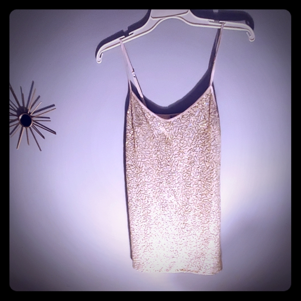 Sequin Blouse